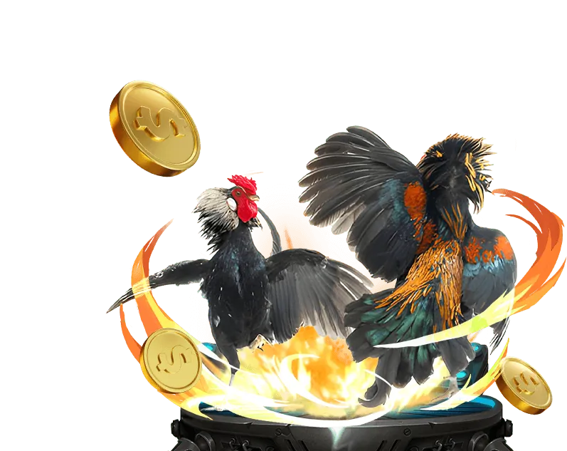 Tính năng cá cược trực tiếp tại fun88 apk